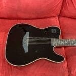 James Neligan EW3000CBK Cutaway Electric Folk Guitar with Solid