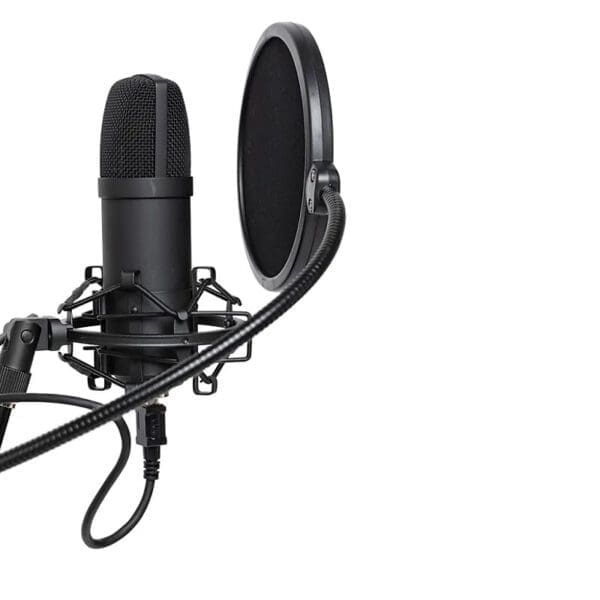 Stagg SUM45 Cardioid USB Microphone Set Price $109.99 - Image 6