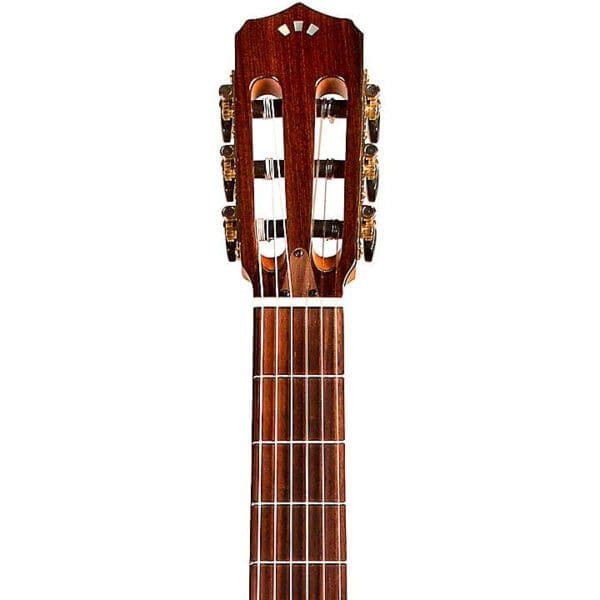 Cordoba Stage Nylon-String Electric Guitar - Edge Burst Price $749 - Image 4