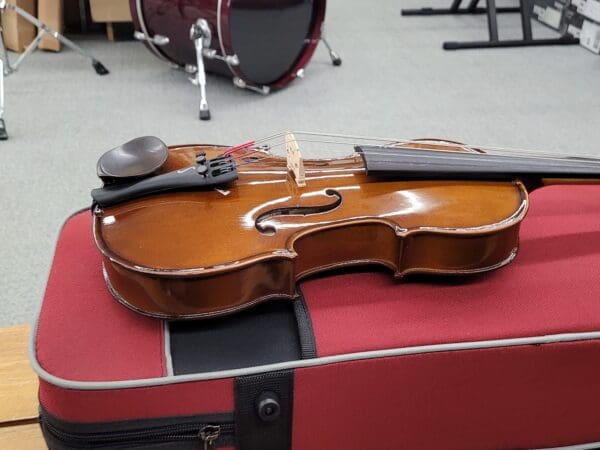 Stentor Harlequin 12" Viola outfit with case and bow - Traditional gloss - Image 9