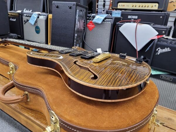 PRS Private Stock #738 Hollowbody II 2004 - Tiger Eye w/Case - Image 7