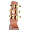 Gold Tone SM-Weissenborn+ Hawaiian-style Slide Guitar - Natural Brand New Price $999.99 - Image 4
