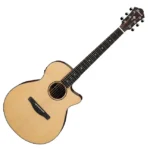 Ibanez AEG200LGS AEG Series A/E Guitar – Natural Low Gloss