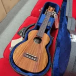 Kamaka HF-2L Longneck Concert Ukulele with case – Solid Koa