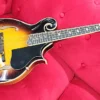 Washburn M3sw F style mandolin Sunburst with case - Image 3