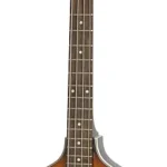 Epiphone Viola Bass with Okume Fretboard – Vintage Sunburst