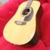 Seagull S12 - 12 string