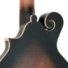 Gold Tone F-6 F-style 6-String Acoustic-Electric Mando-Guitar - Vintage Sunburst - Image 10