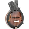 Gold Tone F-6 F-style 6-String Acoustic-Electric Mando-Guitar - Vintage Sunburst - Image 5