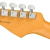 Fender American Professional II Stratocaster - Roasted Pine - 2025 - Image 2