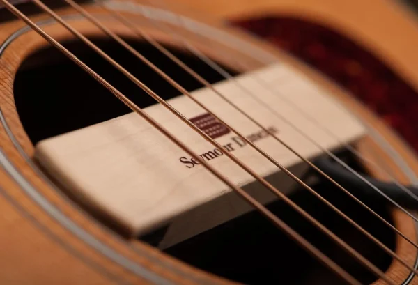 Seymour Duncan SA-3SC Woody Single Coil Soundhole Pickup - Maple - Image 2