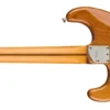 Fender American Professional II Stratocaster - Roasted Pine - 2025 - Image 5