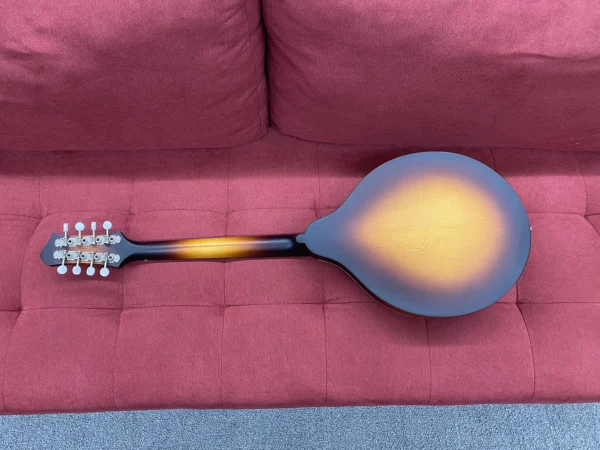Eastman MDO305E A-style Acoustic-electric Octave Mandolin - Sunburst w/ Bag