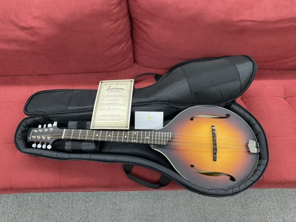 Eastman MDO305E A-style Acoustic-electric Octave Mandolin - Sunburst w/ Bag