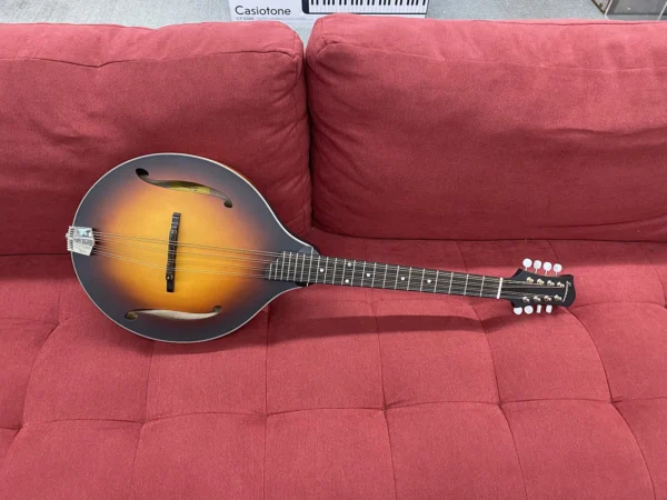Eastman MDO305E A-style Acoustic-electric Octave Mandolin - Sunburst w/ Bag