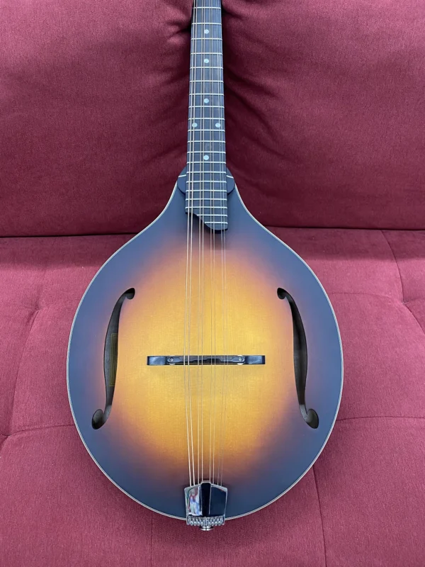 Eastman MDO305E A-style Acoustic-electric Octave Mandolin - Sunburst w/ Bag