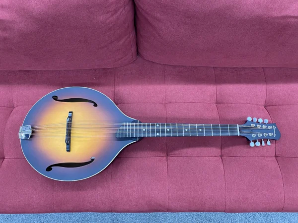 Eastman MDO305E A-style Acoustic-electric Octave Mandolin - Sunburst w/ Bag