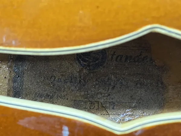 Standel Model 520-S Semi-Hollow Electric Guitar 1960's - Sunburst - Image 18