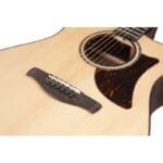 Ibanez AAM380CE Advanced Acoustic Guitar – Natural