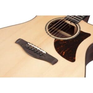 Ibanez AAM380CE Advanced Acoustic Guitar - Natural