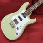 PRS SE Studio Standard With Gigbag – Sage Green