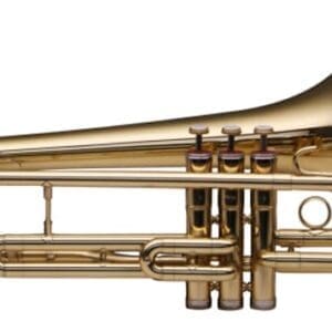 Stagg WS-TB285 Bb Student Valve Trombone with Case - Brass
