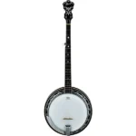 Ibanez BA250 USA 250th Anniversary Resonator Banjo – Eagle