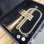 52c48532-08a2-4dbb-8fd5-08a6d7adfbf0