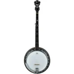 Ibanez BA250 USA 250th Anniversary Resonator Banjo - Eagle