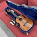 Kamaka HF-3i Custom Tenor Ukulele with Ebony Package and Mother of Pearl Inlay - Natural w/ Case